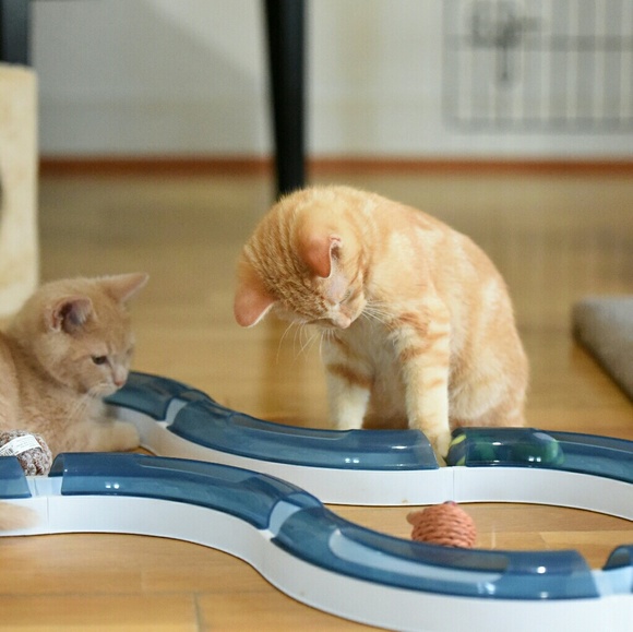 The Fab4 say "Thank You!!" - Picture 6 of 8